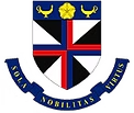 mary knoll